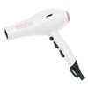 Gem Force Intense Ionic Ceramic Science Hair Dryer (White)