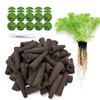 Hydroponic Grow Sponges for AeroGarden & iDOO - 60 Pack