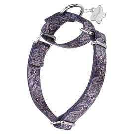 Dazzber Forest Animal Pattern Dog Collars Martingale Dog Collar Silky Soft and Sturdy for Medium Large Dogs (Paisley Pattern, Medium, 1Inch Wide)