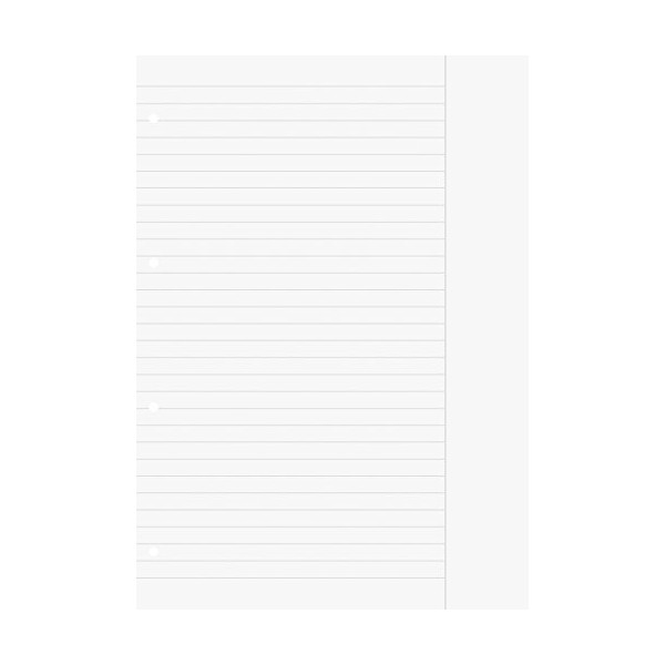 1066945 Brunnen A4 Ring Binder, Loose Leaf Refill Pad, 25