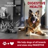 Probiotics for Dogs Digestive Health - Probiotic Chews for Gut
