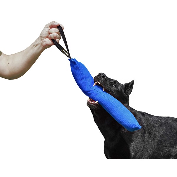 DINGO GEAR Nylcot Bite Tug for Dog Training K9 IGP & Fun, 1 Handle, Blue 45 x 8 cm