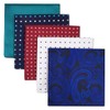 Shlax&Wing Pack of 5 Assorted Handkerchiefs for Men - Square