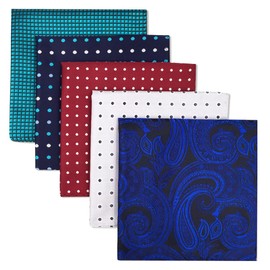 Shlax&Wing Pack of 5 Assorted Handkerchiefs for Men - Square - One Size - Set21