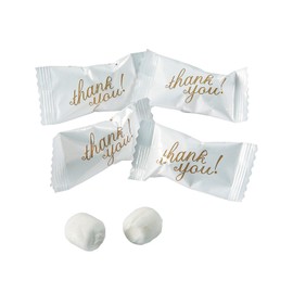 Fun Express Individually Wrapped Thank You Mints, Pack of 108