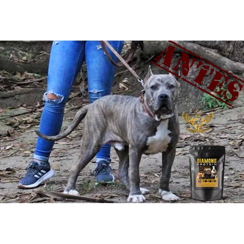 Proteina Para Perro Diamond Protein®