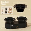 MS!MAKE SURE Dog Cat Bowls, Elevated Ceramic Cat Food and