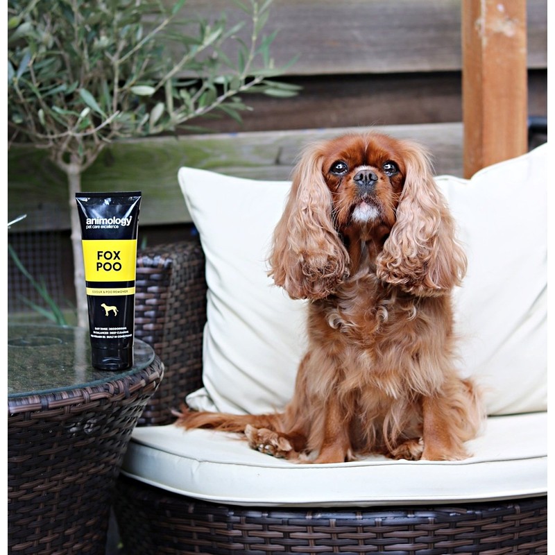 Animology Fox Poo Deodorising Dog Shampoo, Twin Pack, 250ml