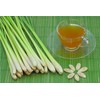 NIKA SEEDS - Seeds Herb Lemongrass - 50 Seeds
