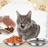 12 cuencos de acero inoxidable para gatos poco profundos, platos