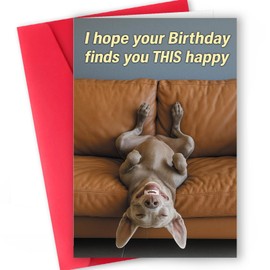 ICOOLYI Funny Birthday Card and Gift for Men or Women – Hilarious and Lighthearted Decorative Design – Perfect for Friends, Family, Coworkers, Him or Her