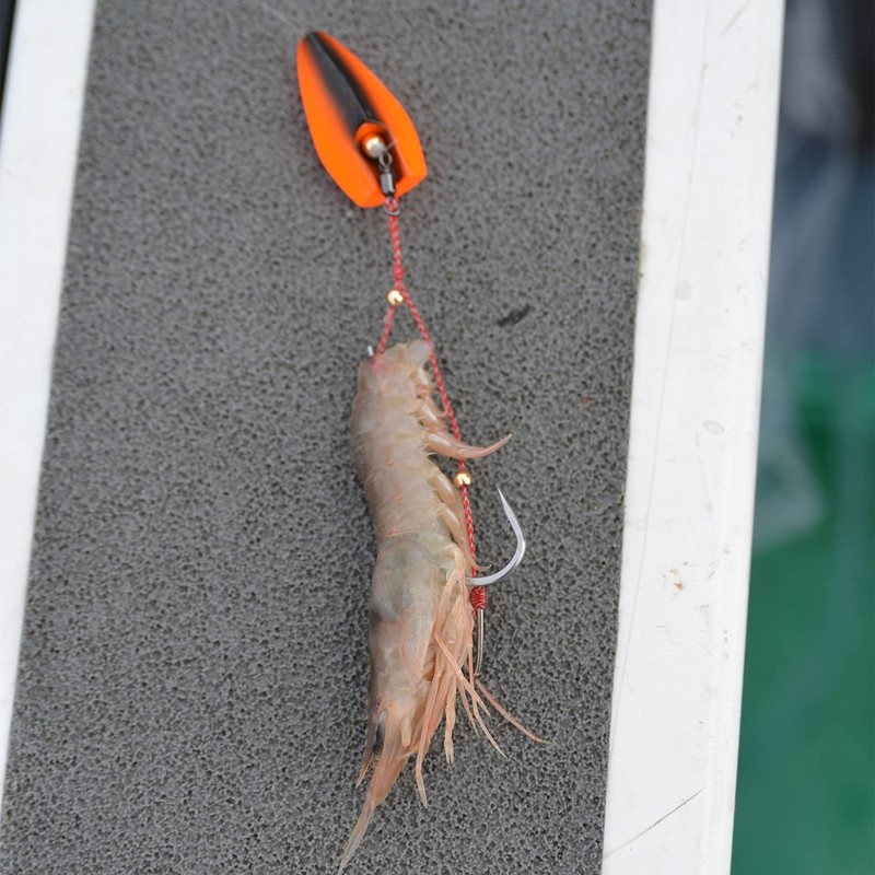 Hayabusa Samurai Warriors Red Sea Bream Ruggedized tenya SE105 (No.