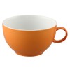 Rosenthal Thomas Sunny Day Cappucc. Obertasse Orange [SP] UVP: 19,50 €"