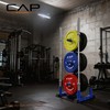 CAP Barbell Olympic Bumper Plate Tree Rack with 6 Weight