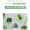 Mixsoon Cicatree Clean Toner 5.07 fl oz/150ml Daily toner for