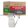 Silver Disposable Plastic Serving Forks, 9.75 Inch, Pack of 130