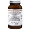 Tribe Skincare Wild Harvested Chanca Piedra Tea