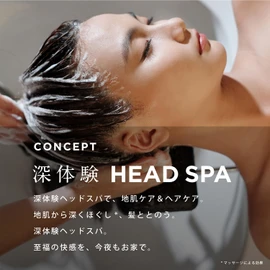 h&s Deep Experience Head Spa, Deep Head Spa, Set of 2 Refills, Relaxation x Moist