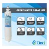 Filtro Agua Refrigerador Tier1 1063 Compatible Ge Rpwf