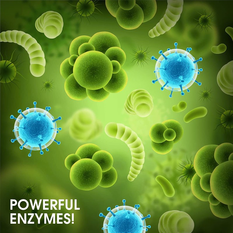 Bio-Flow Drain Strips - 12 Strips | Drain Cleaner &