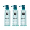 Mise-en-scène Style Care Professional Hair Gel Hard, 500ml, 3 pieces / 미쟝센 스타일케어 프로페셔널 헤어젤 하드, 500ml, 3개