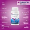 UK Intestinal Flora 10 Mega Capsules Vegan - High Dose