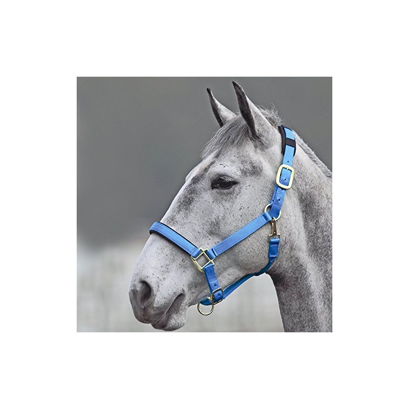 TOPAZ NYLON HEADCOLLAR: BLUE: X SMALL PONY
