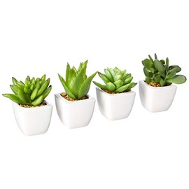 Abbott Collection Succulents in Tapered Pot, Green (Set of 4)
