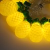 9.8ft 20LEDs Fruit String Lights Battery Operated String Lights for