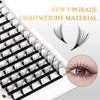 Premade Spire Eyelash Extension Anime Anime Butterfly Lash Fans D