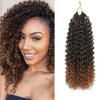 FLWAI Pre Looped Micro Kinky Curly Crochet Hair 8 Packs