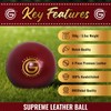 ONEGlobal Supreme Leather Cricket Ball | 100% Handstitched, 156g -