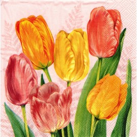 (2) Two Paper Lunch Napkins for Decoupage/Mixe