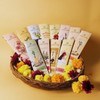 CALMVEDA Natural Incense Sticks Mega - Variety Pack (144 Insence-Sticks