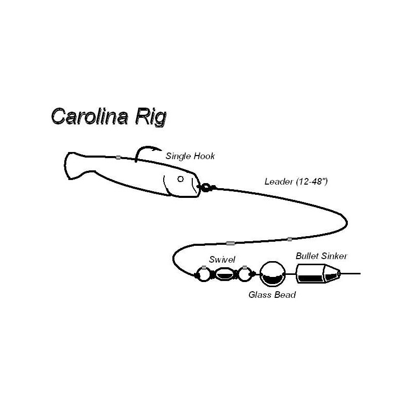 10pcs Quick Change Rigged Carolina rigs Bullet Lead rigs (10g-10pcs)