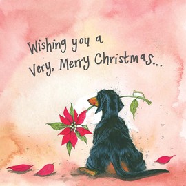 ALEX CLARK Dachshund Dog and Poinsettia Christmas Card Pack of 5
