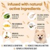 Buddycare Acondicionador De Avena para Perros(16.90 Oz) Elaborado con Aloe