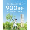 【Official】boco to deco (Tube Type) Green Juice Powder - Ashitaba