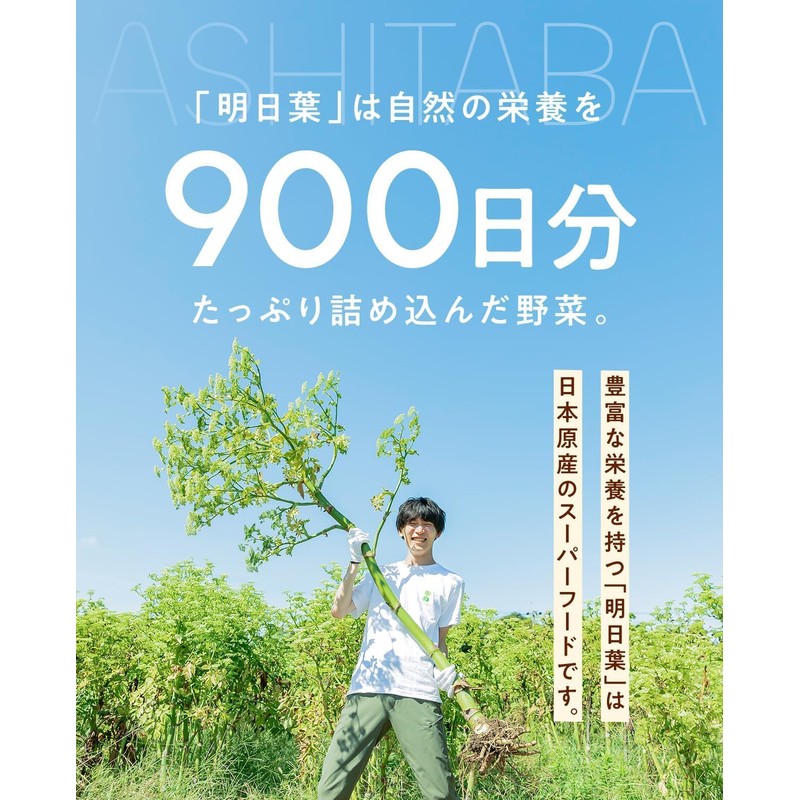 【Official】boco to deco (Tube Type) Green Juice Powder - Ashitaba