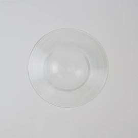 Immage Rim Soup Bowl with Stylish Groove Line 10.0 inches (25.5 cm), 10.8 fl oz (300 cc)