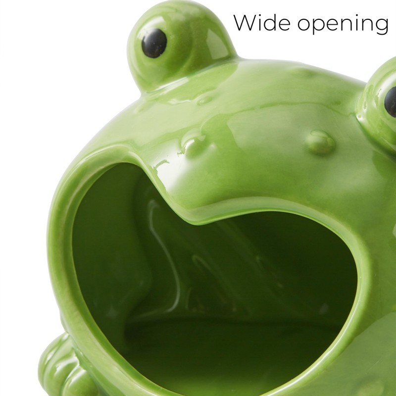Ceramic Frog Sponge Holder for Kitchen Sink - Cute Sponge