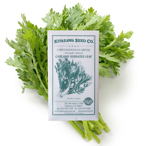 Chrysanthemum Greens Seeds - Garland Serrated Leaf -3 g Packet