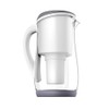 ECOBUD Gentoo Glass Water Filter Jug Grey & White 1.5L