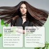 Rostblant Hair Conditioner 1