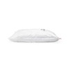 Compactor Aspispace Space Saving Large Vacuum Storage Bag for 1