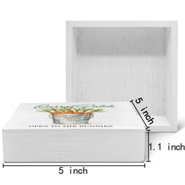 SRADMO Easter Sign, Carrot Patch Easter Wood Box Sign Desk Decor, Easter Carrot Decorations, Farmhouse Easter Theme Wooden Block Box Sign Decoration for Home Office Shelf Table Decor