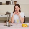 WENNING Manual desktop heavy duty lemon smasher orange juicer lemon