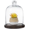 MyGift Clear Cloche Glass Dome, Display Bell Jar with Top