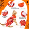 Xuniea 4-Piece Halloween Cat Surgery Recovery Suit - Wound Surgical