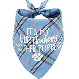 Dog Birthday Bandana, Birthday Boy Puppy Bandana for Small Medium Large Dogs